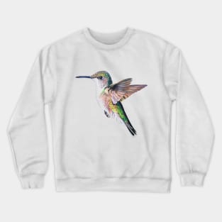 Female Ruby Throated Hummingbird drawing (no background) Crewneck Sweatshirt